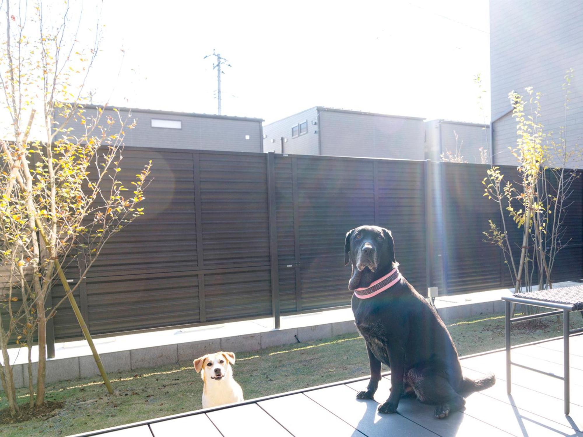 Rakuten Stay Fuji Kawaguchiko Station ฟูจิคาวากุจิโกะ ภายนอก รูปภาพ